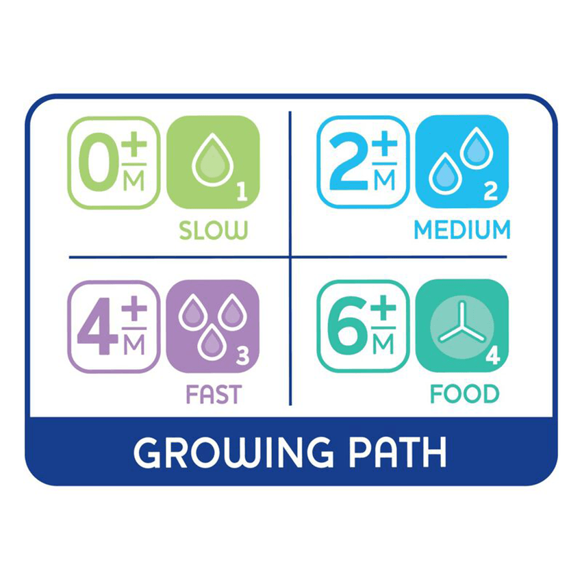 Chicco Physio Teat Anti-Colic Silicone Nipple Food Flow (2+ m) (2 Pcs) - Image 6