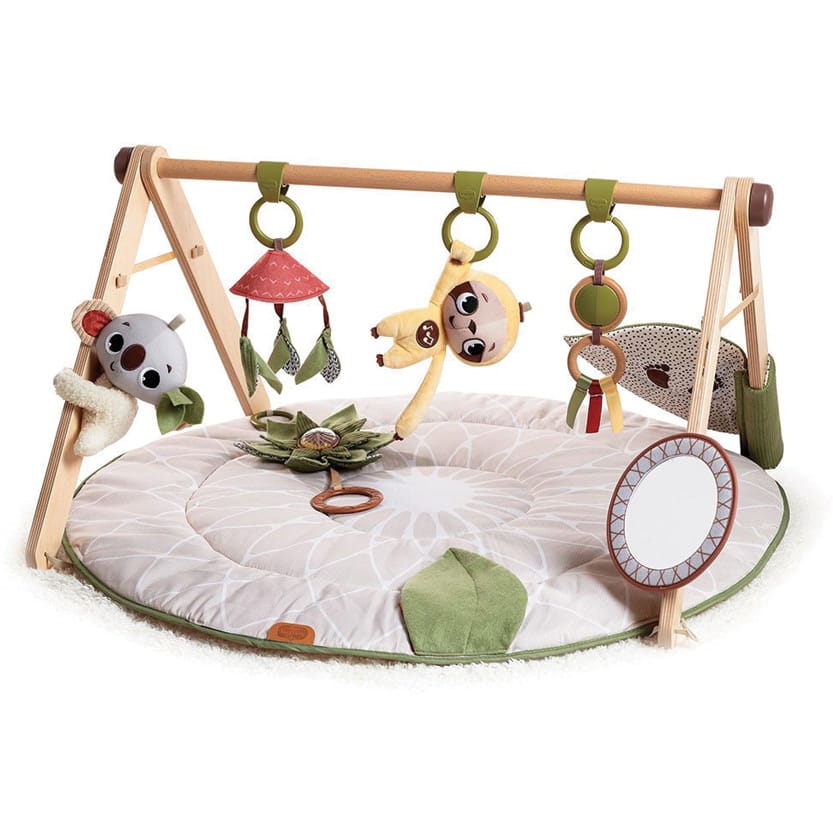 Tiny Love Boho Chic Luxe Developmental Gymini