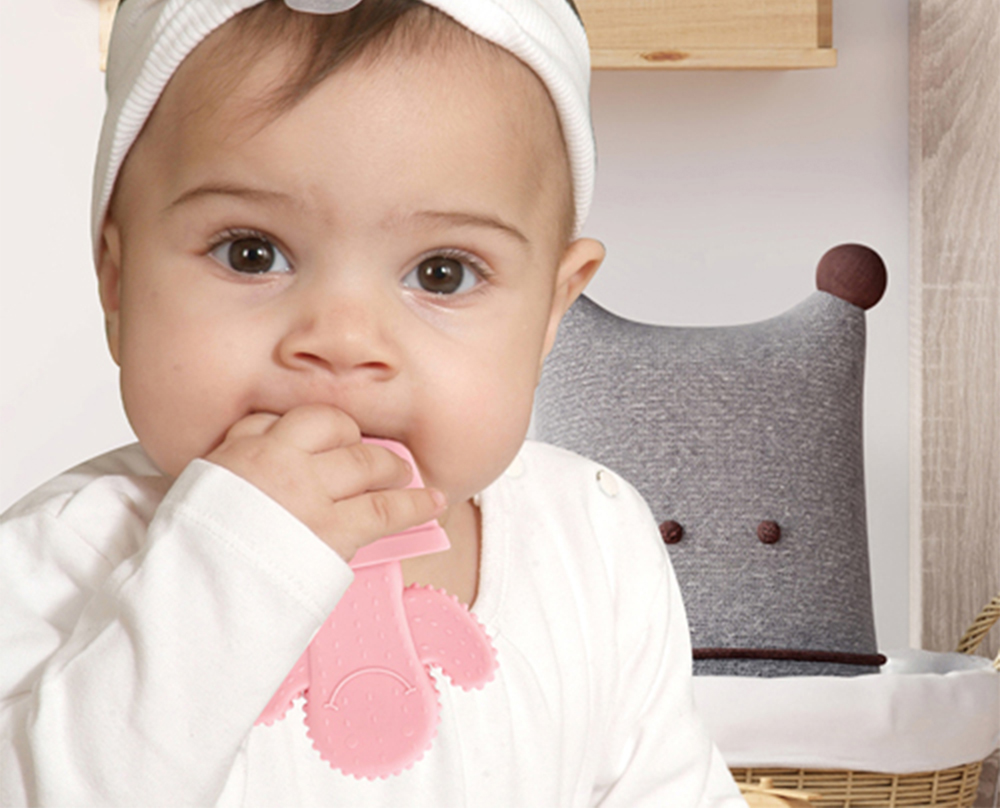 Babyjem Teether Cactus Pink - Image 2