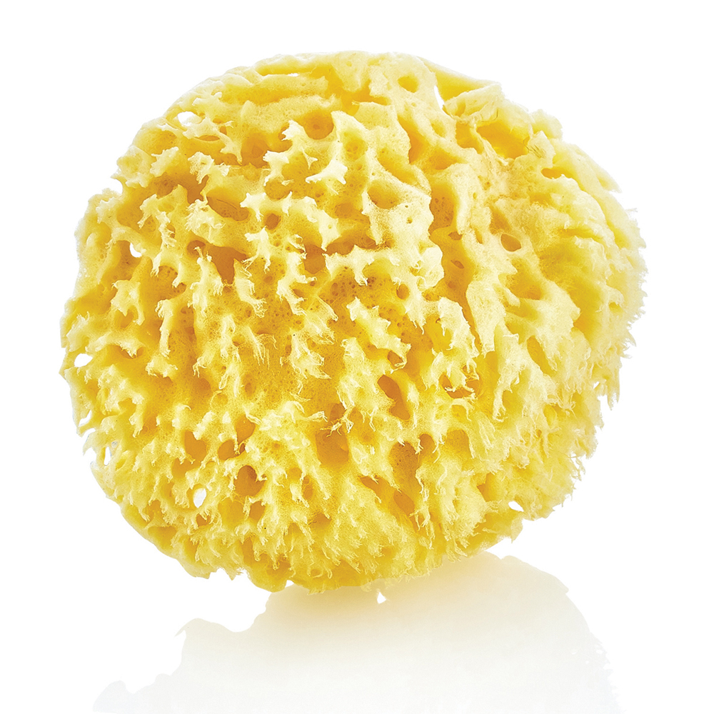 Babyjem Natural Sea Sponge / Naturel