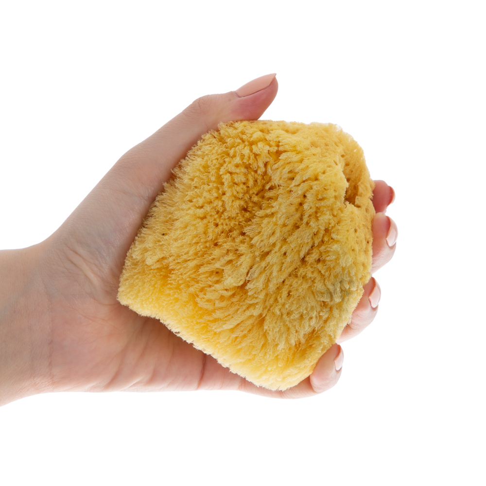 Babyjem Natural Sea Sponge / Naturel - Image 4