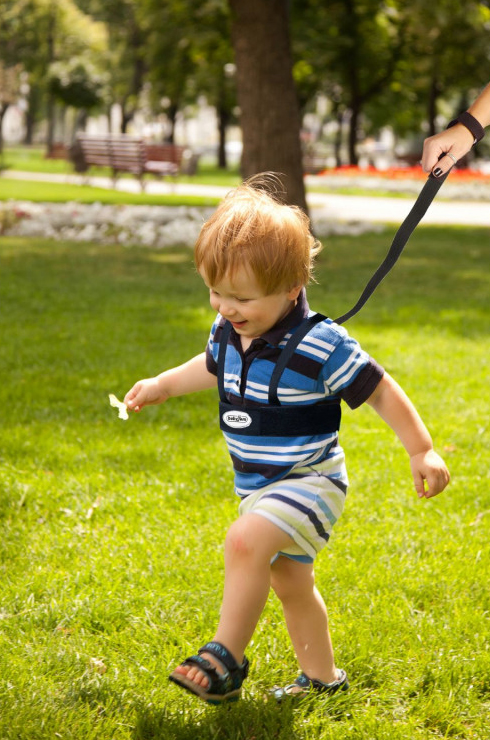 Babyjem Safety Belt / Blue - Image 3