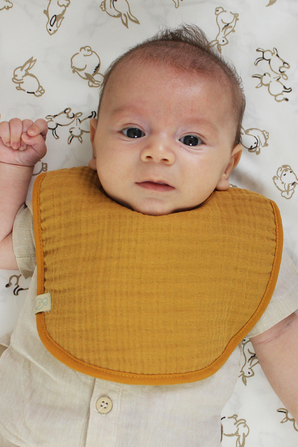 â¦Ù
رÙÙÙ Ù
ÙØ³ÙÙ٠عضÙÙ Ù
Ù Ø¨ÙØ³ØªÙÙ (0-24 Ù
) Ù
ÙÙÙâ© - Ø§ÙØµÙرة â¦4â©