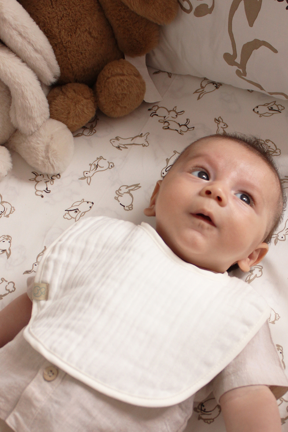 Bistyle Organic Muslin Bib (0-24 m) Light - Image 5