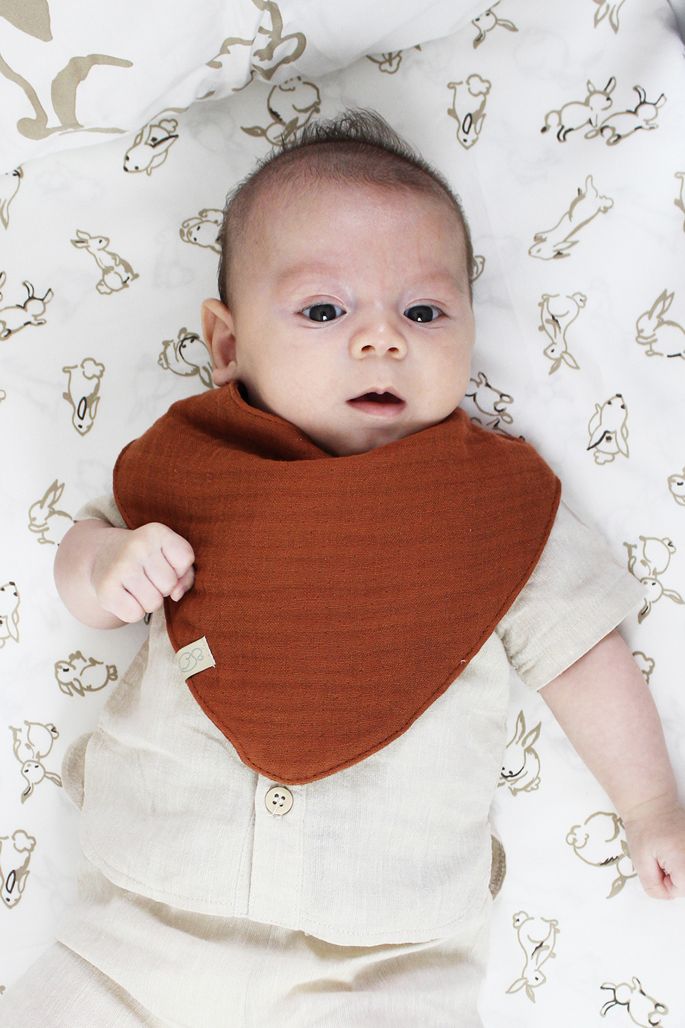 Bistyle Organic Muslin Baby Scarf (0-24 m) Colored - Image 4