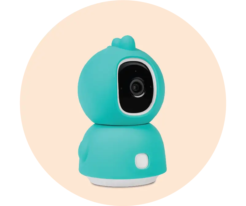 السلامة المنزلية